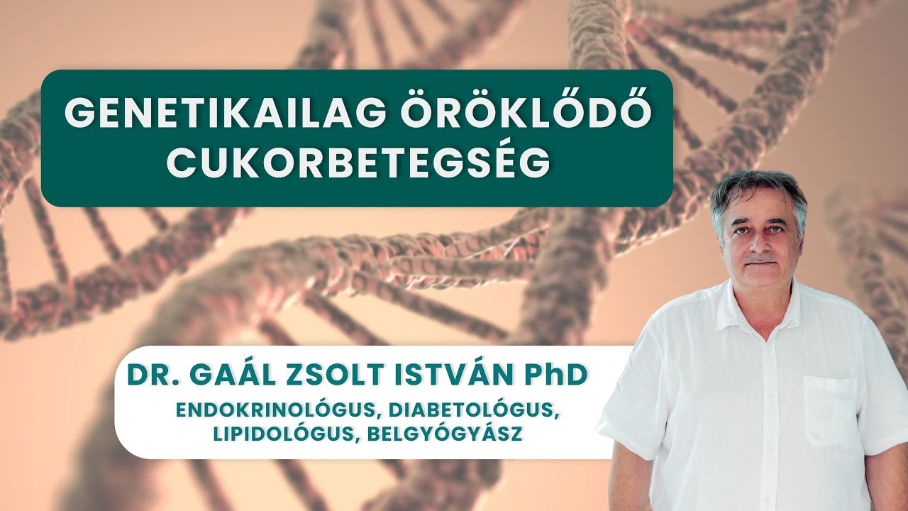 MODY: amikor a diabétesz hátterében a genetika áll | Dr. Gaál Zsolt István