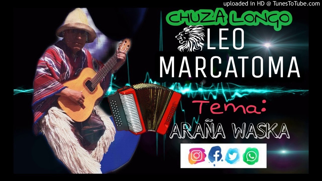 LEO MARCATOMA ARAÑA WASKA