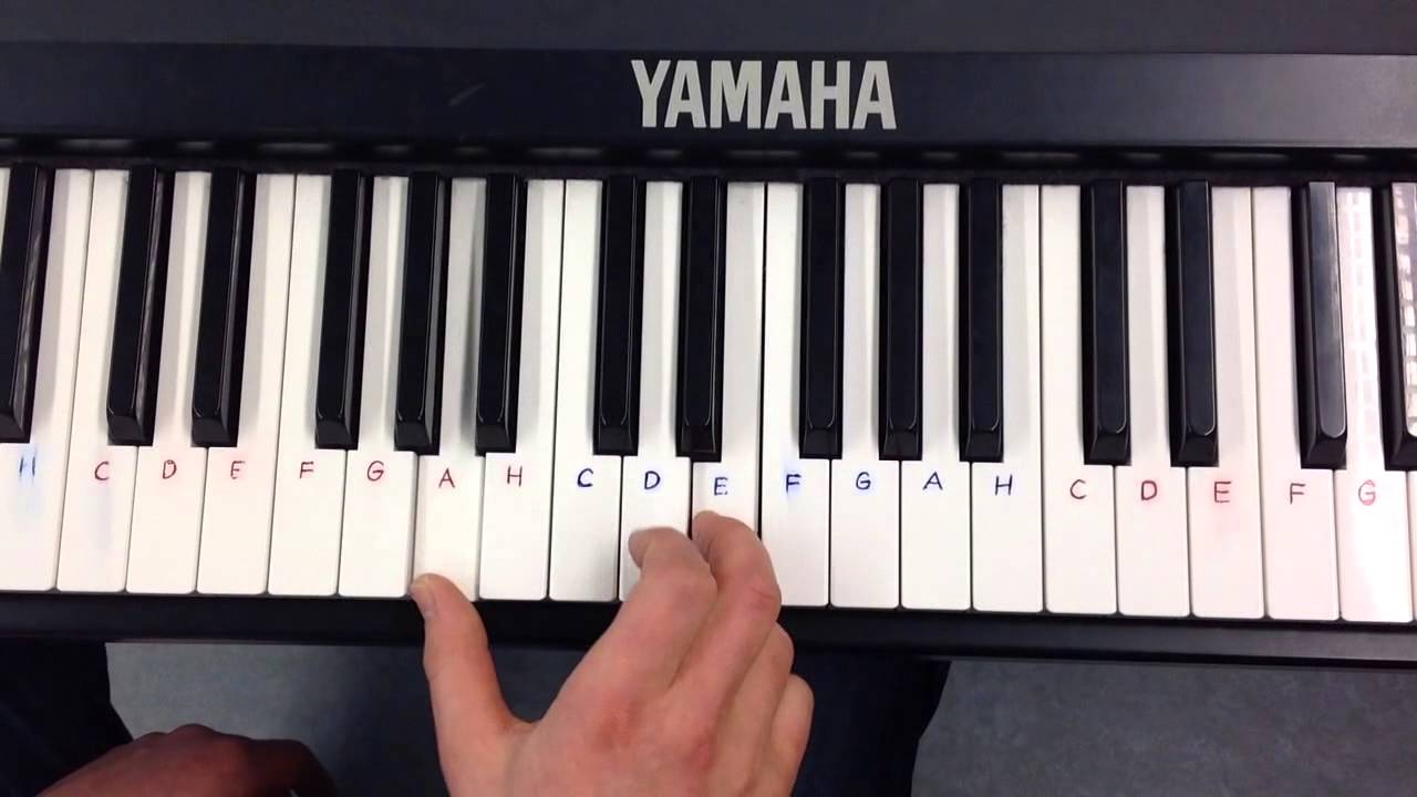 FOX koskettimet (5-soinnut)