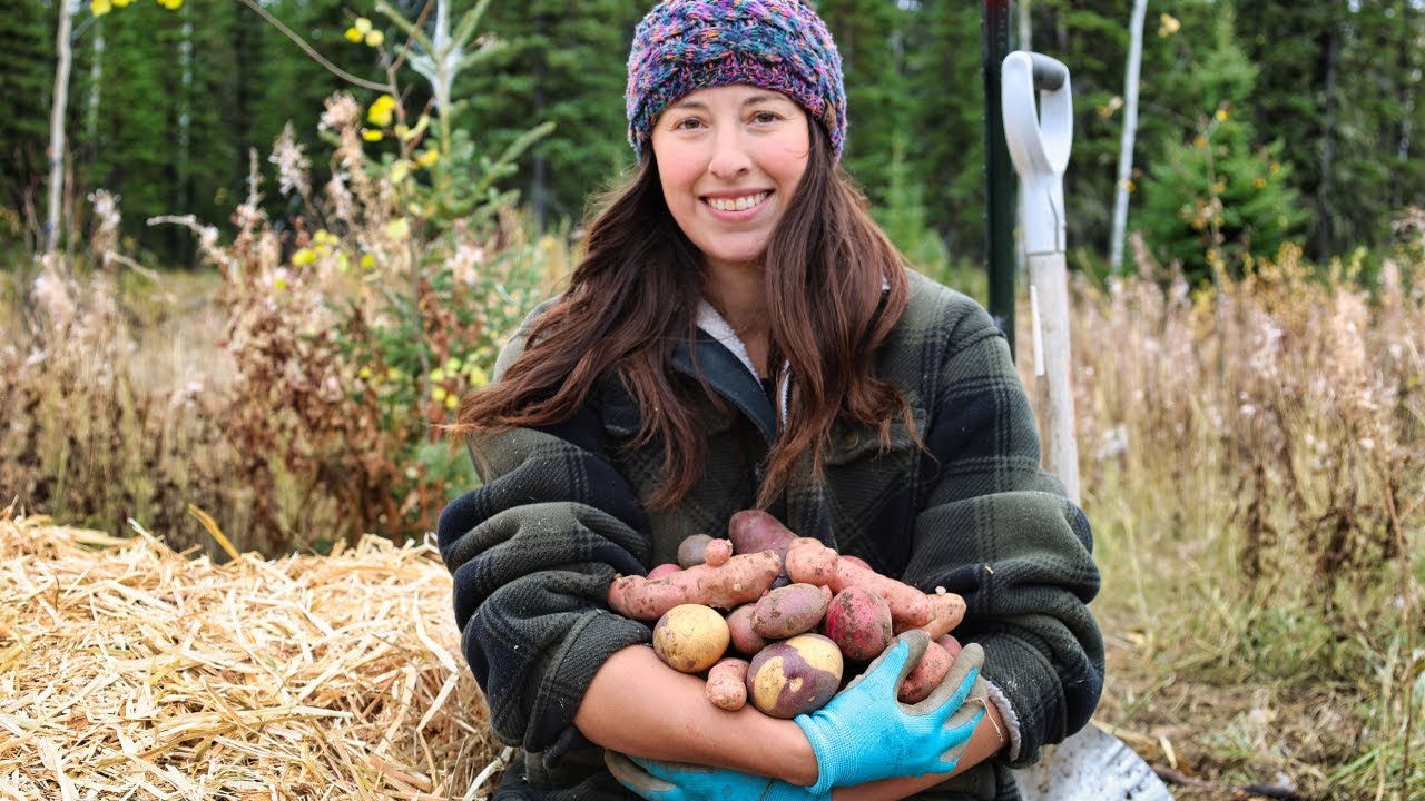 Harvesting Potatoes, Planting Garlic & Making Spaetzle