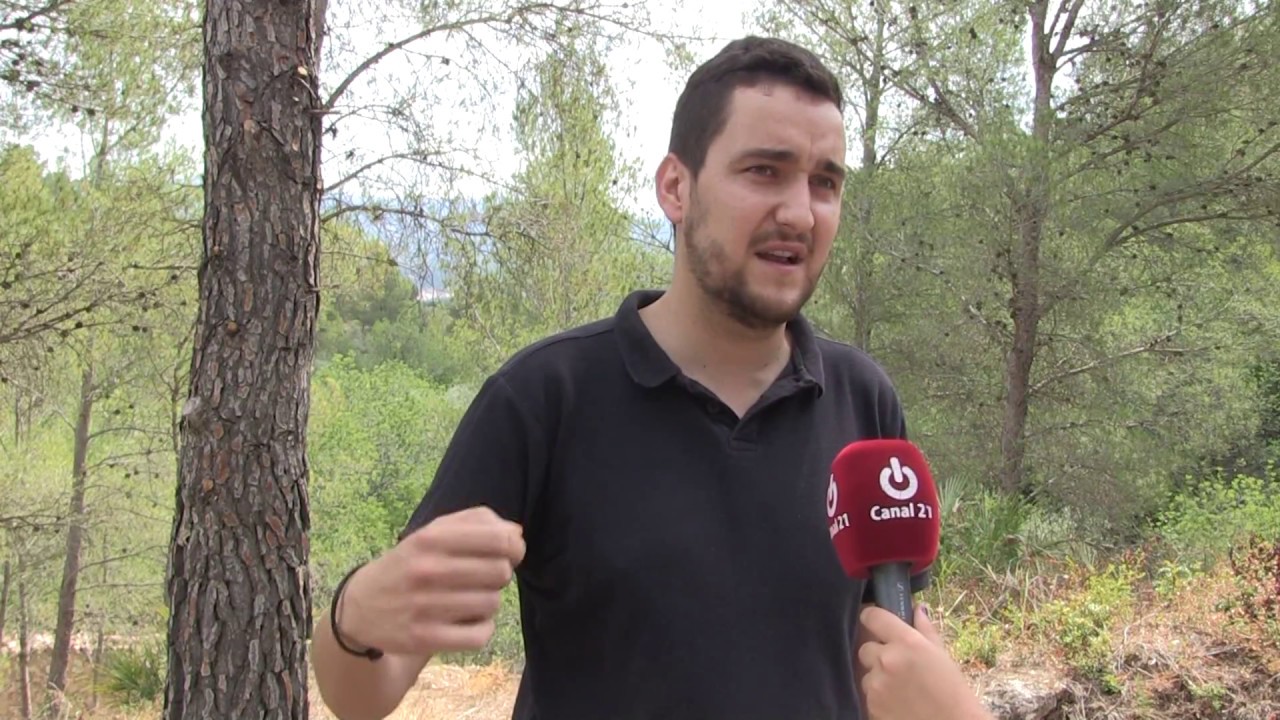 Xerta converteix una trinxera de la Guerra Civil en atractiu turístic