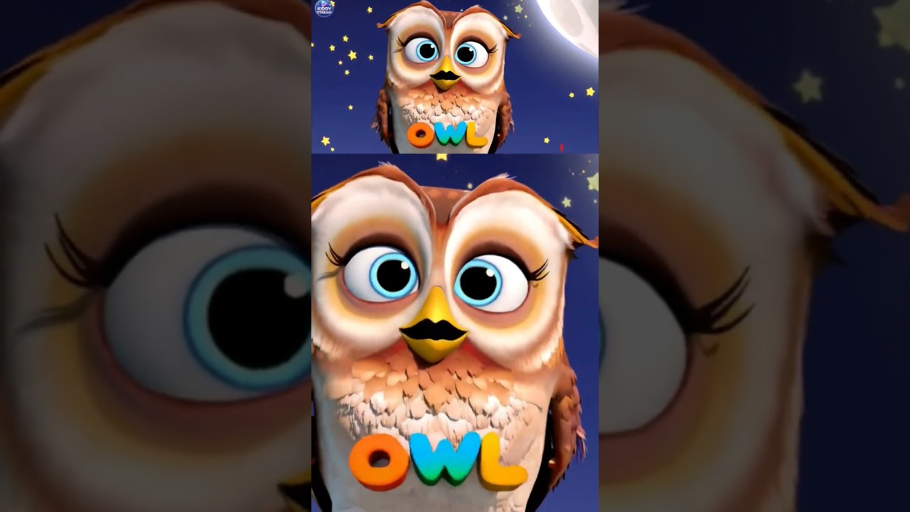 Owl 🦉& Crane Beautiful Birds Learning About Our Feathered Friends | The Amazing Bird Explorer!