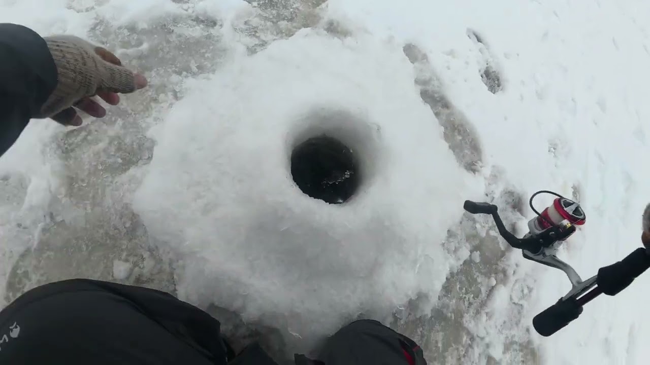 Litt fra isfiske turer. Abbor, mort og gjedde. 
