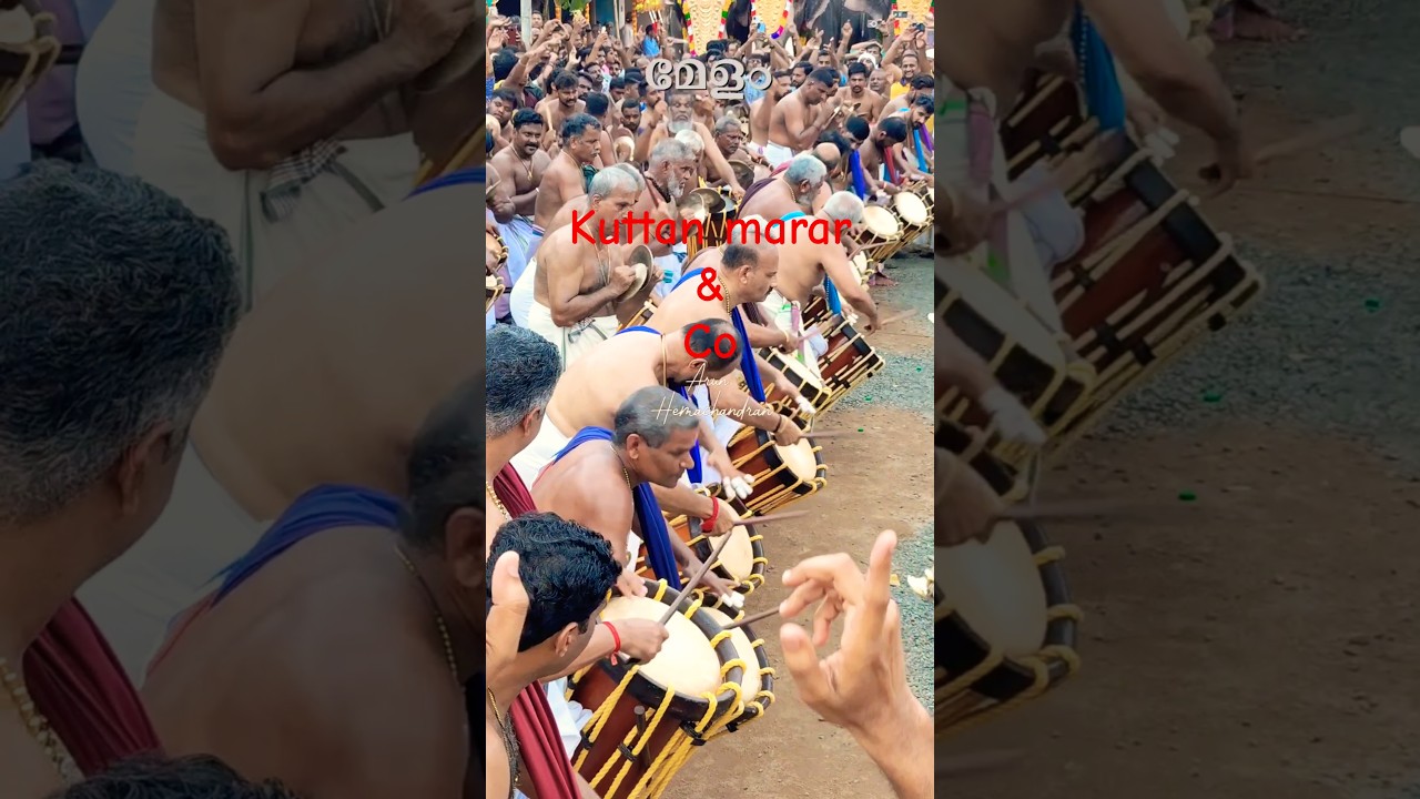 kuttan marar and team🔥|melam🔥#viral #pancharimelam #trending