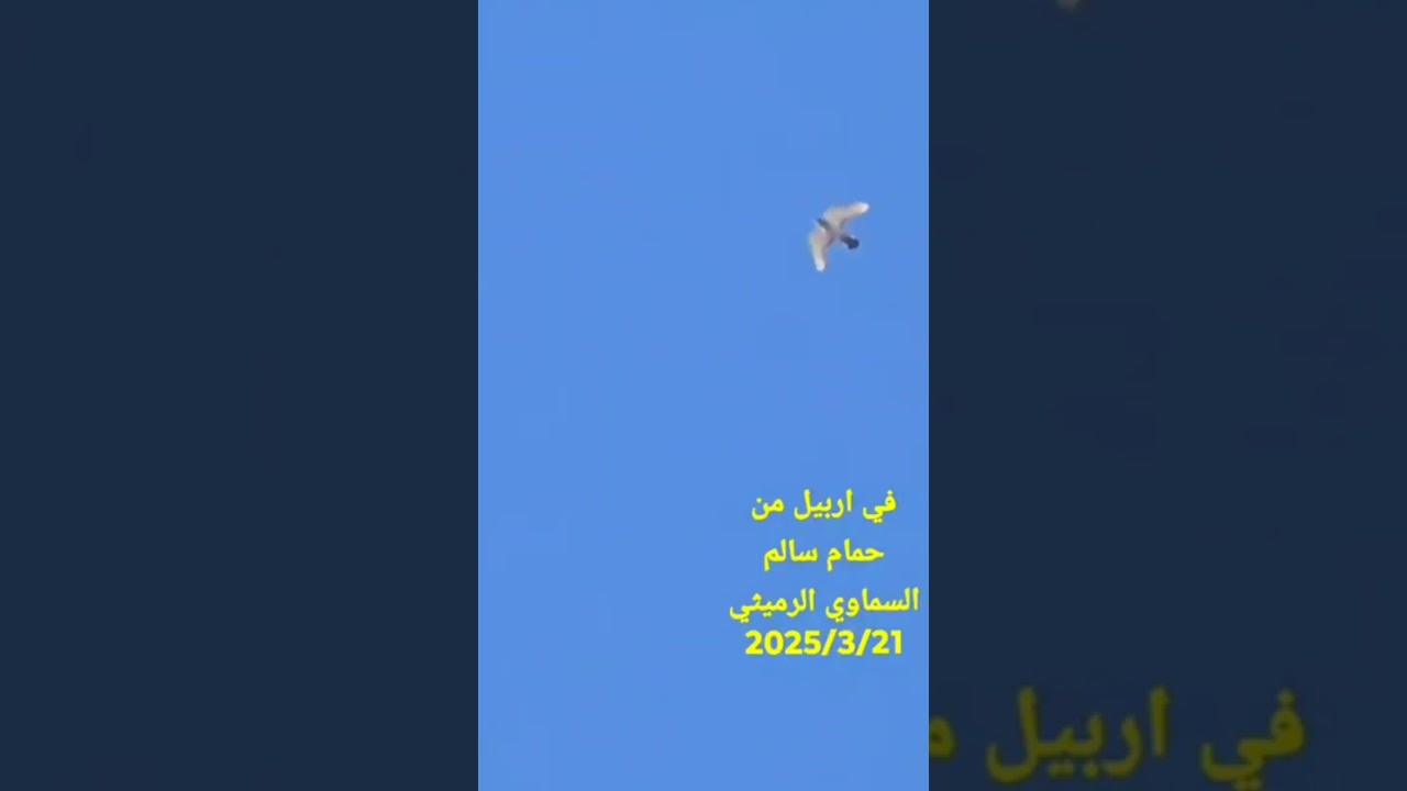 ٩ يناير ٢٠٢٦