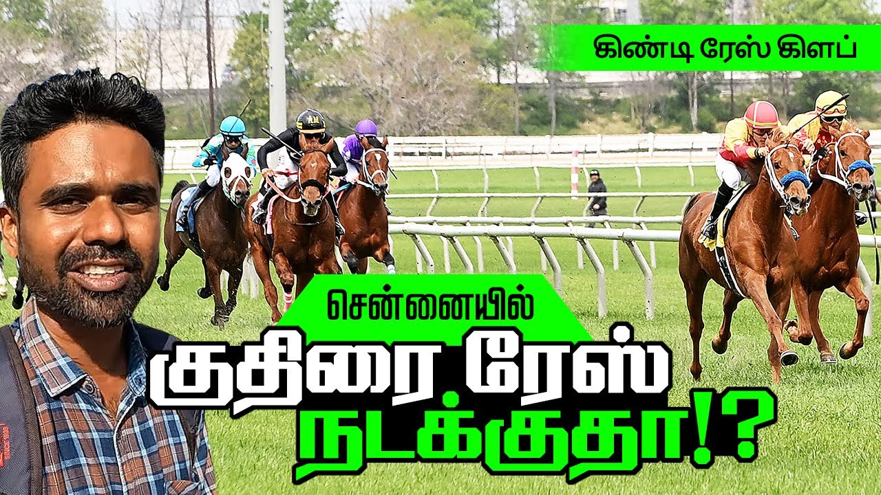 குதிரை Race எங்க எப்படி நடக்குது ? கிண்டி ரேஸ் கிளப் I Guindy Race Club | Madras Race Club