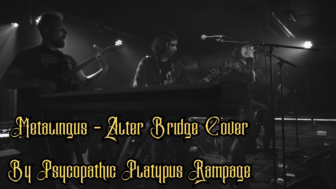 Metalingus - Alter Bridge cover by Psycopathic Platypus Rampage Live from the Mash House Edinburgh