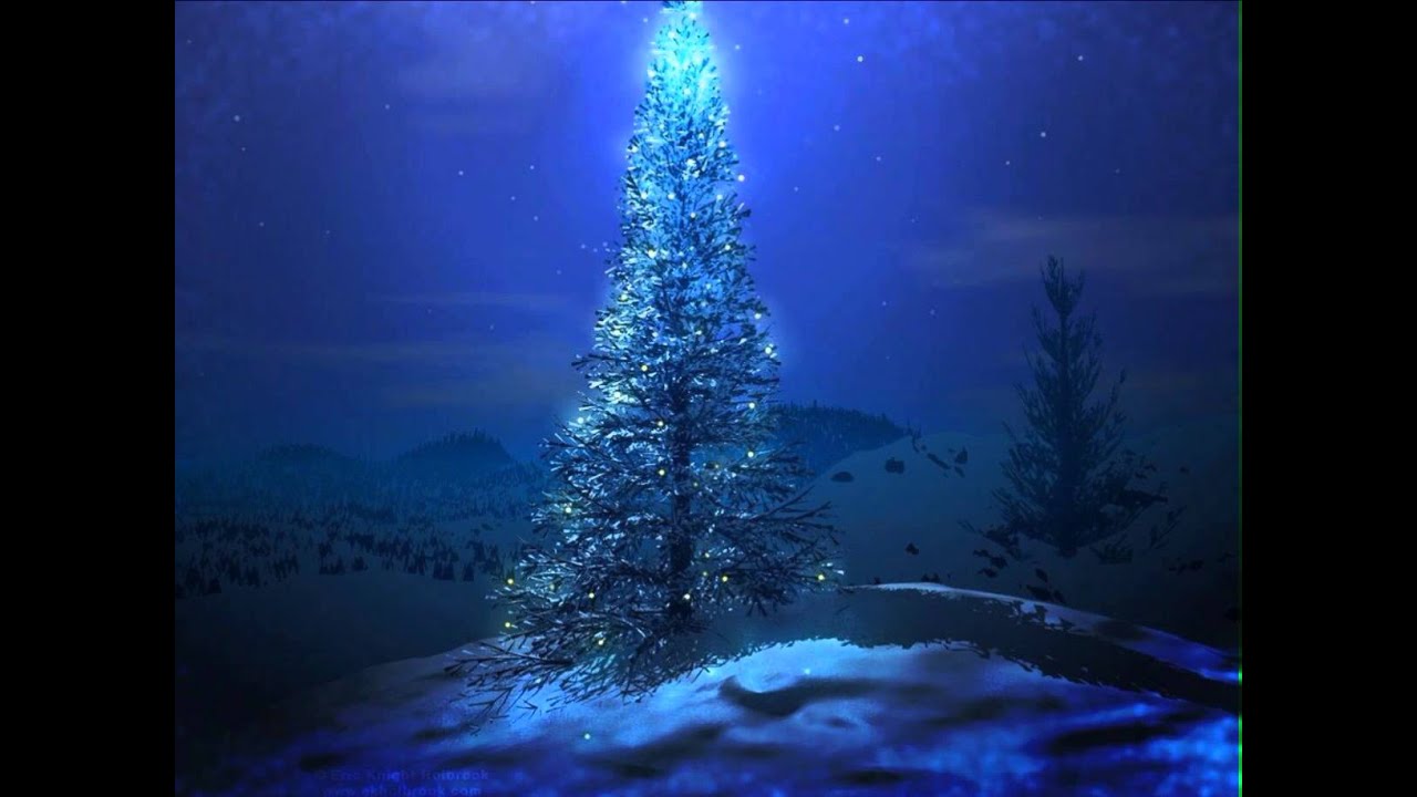 Hay que sembrar en Navidad.