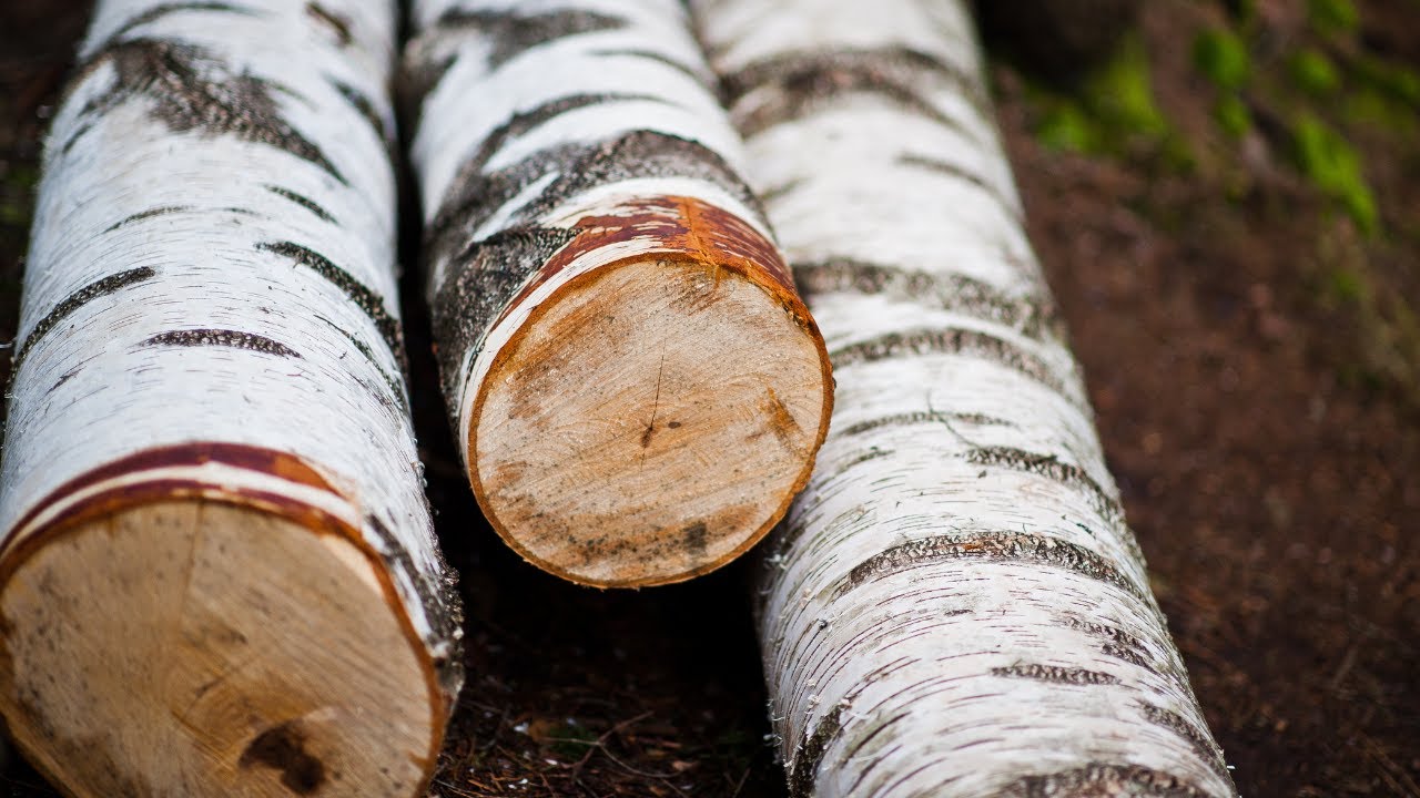 А Whiskey Barrel from an Birch Log DIY | How to make a wooden barrel with your own hands