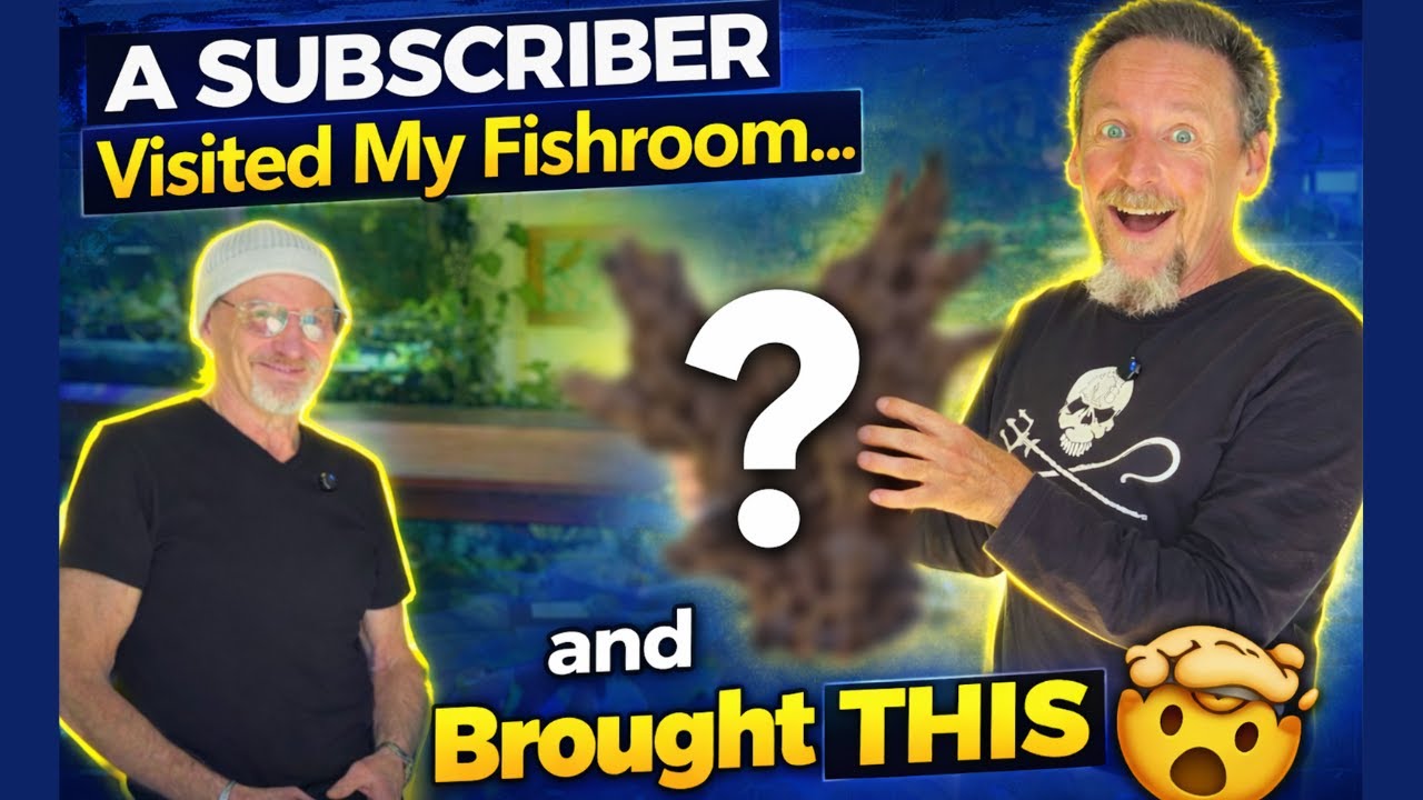 A Subscriber Visited My Fishroom… and Brought THIS 🤯
