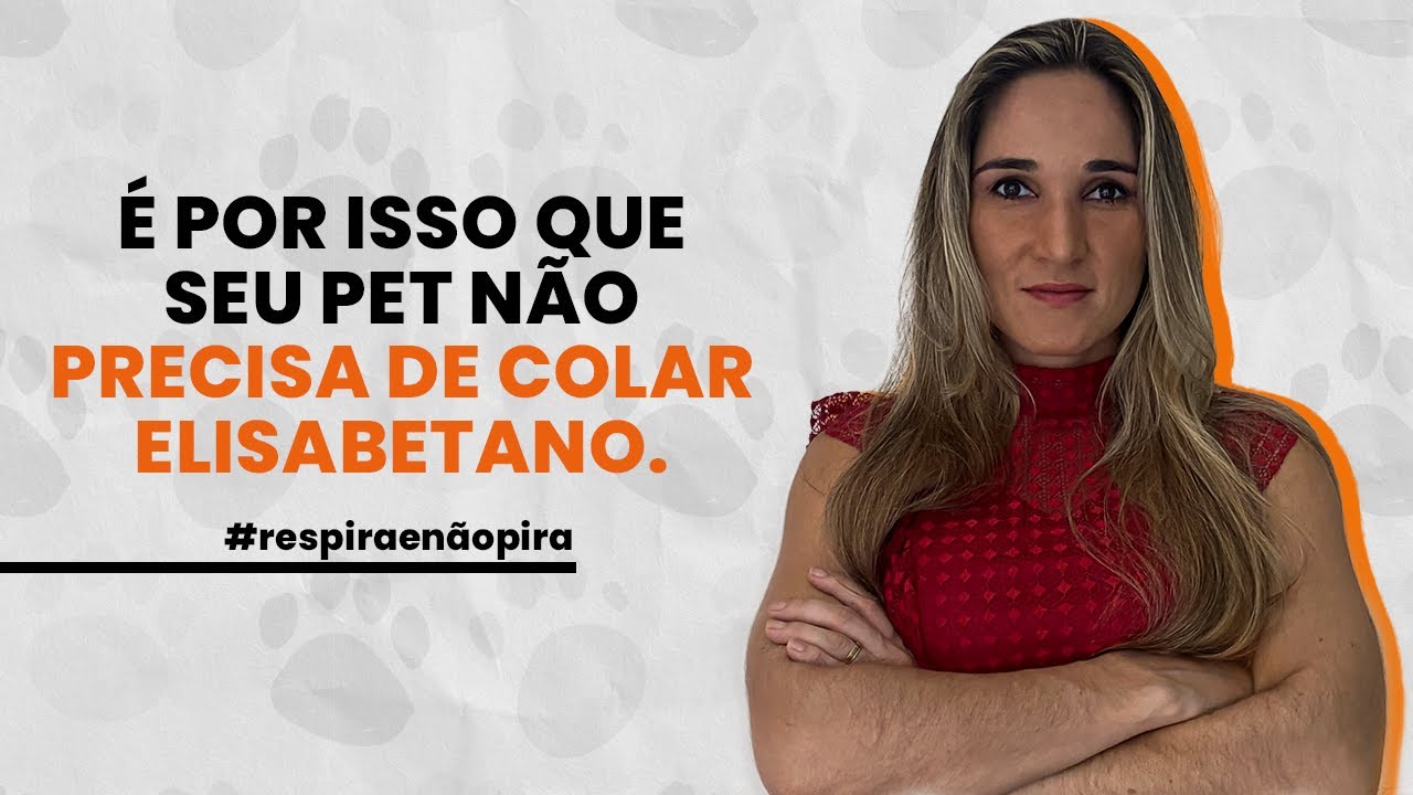 É por isso que o seu PET não precisa usar colar elizabetano