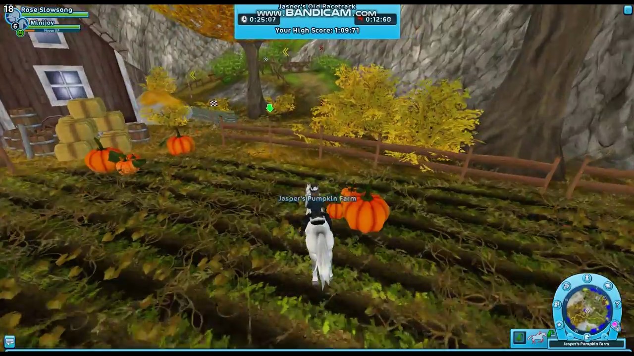 Training Adventures #2 Training my Jorvik Pony!