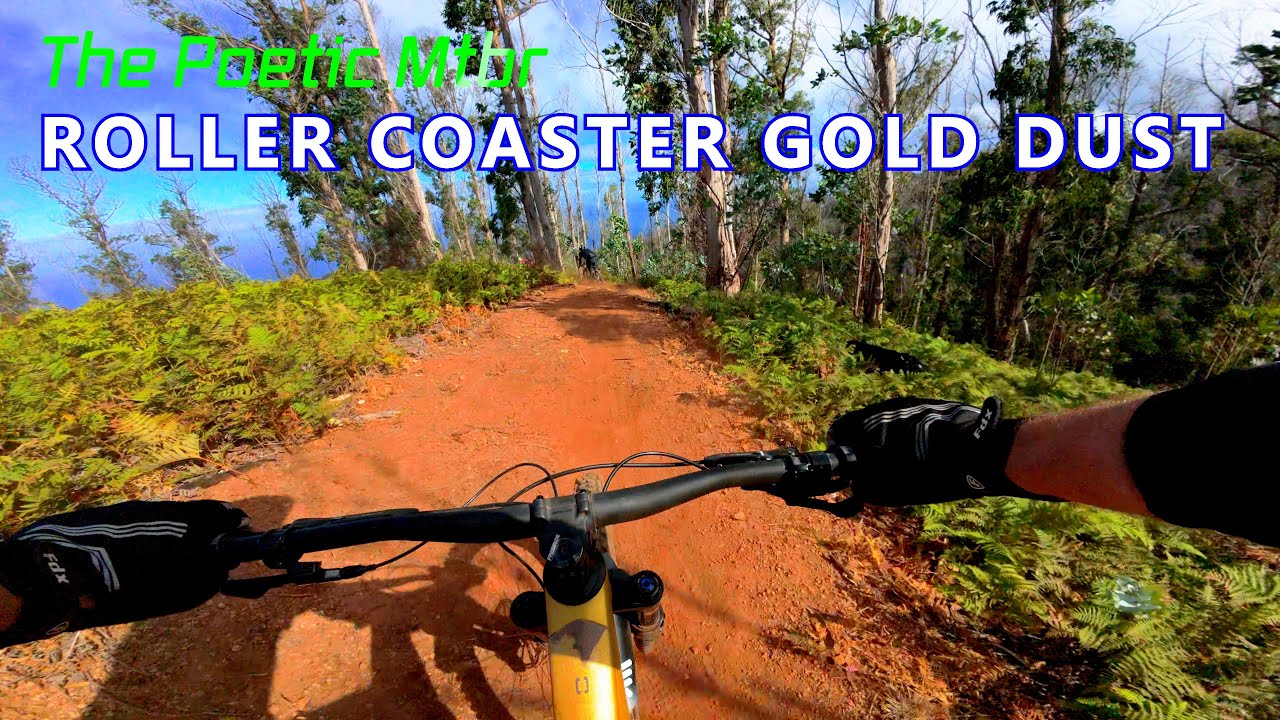 Mountain biking Maderia more ROLLER COASTER trails