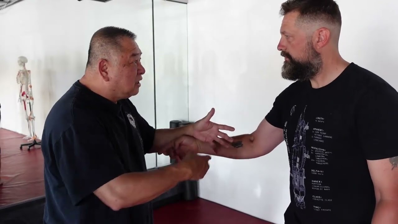 GM Sam Chin - Using The Body As A Reference