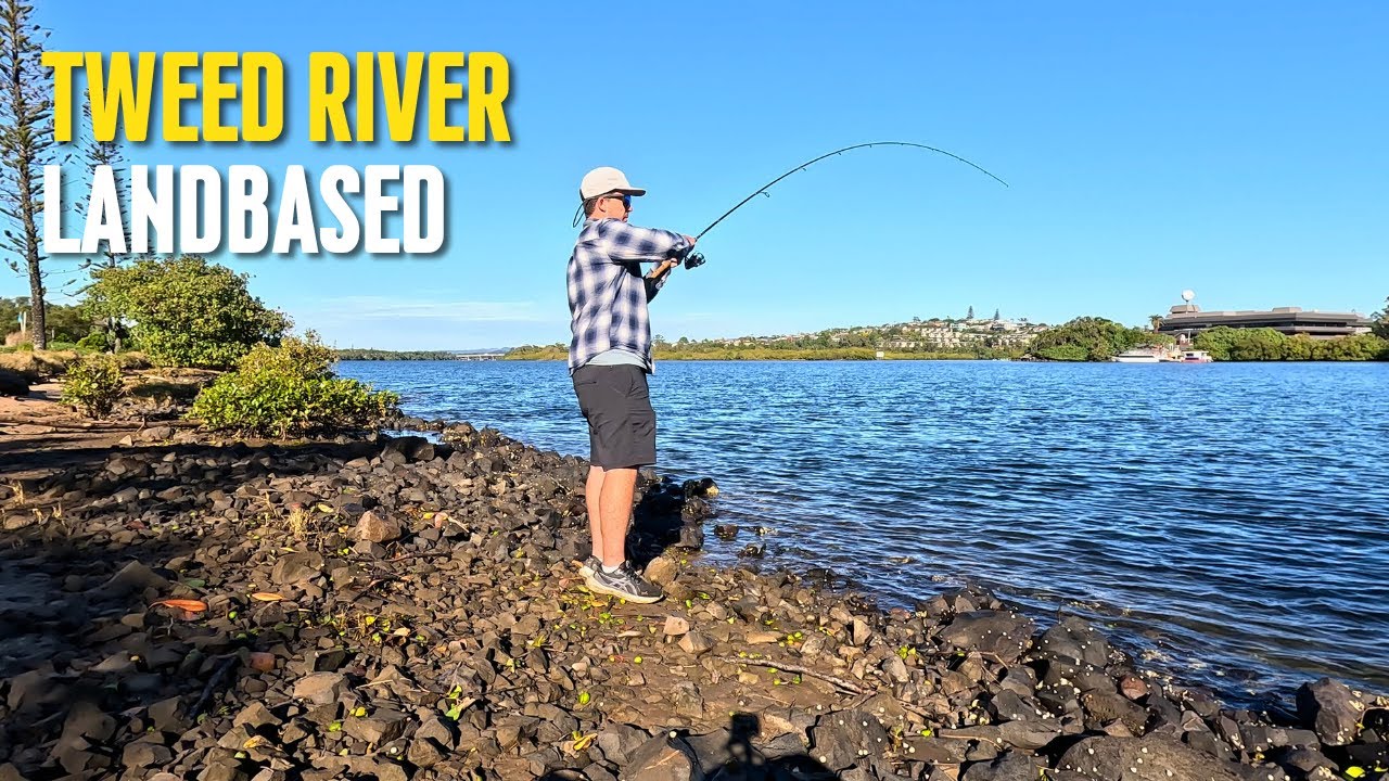 Land Based Fishing | Tweed River