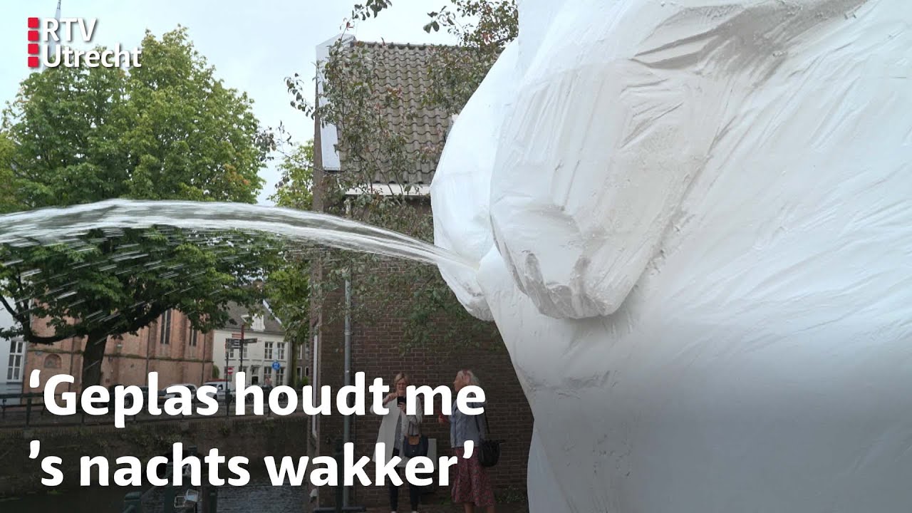 Plassende ijsbeer krijgt plasverbod | RTV Utrecht