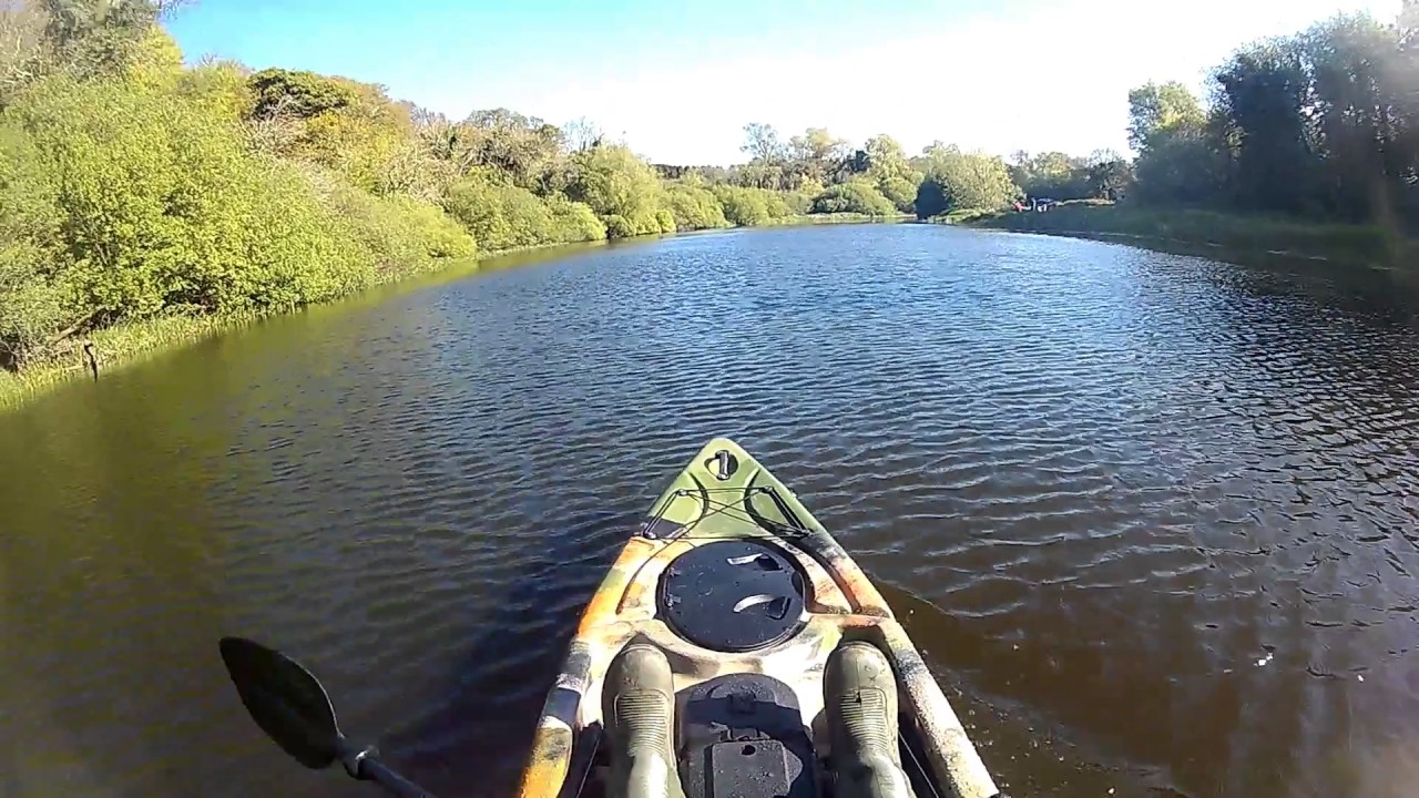 bluefin kingfisher review