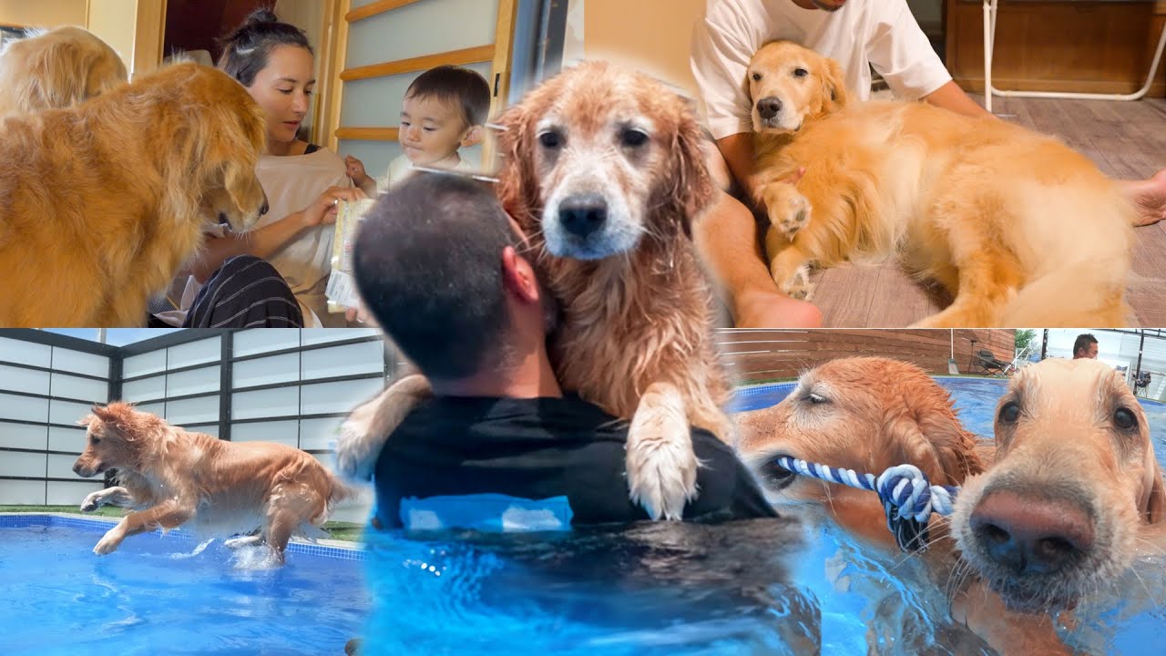 10日間外出してない愛犬達を幸せにしてみたww