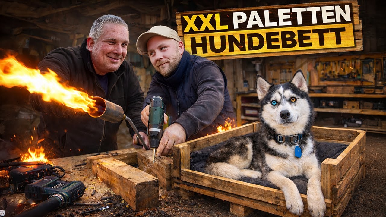 XXL-Hundebett selbst bauen – einfach erklärt