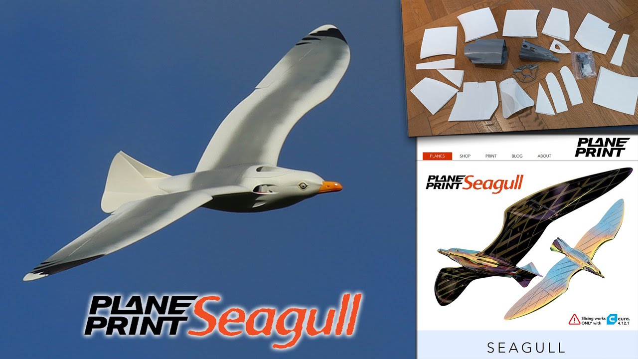 Seagull de PlanePrint - Montage pas-à-pas d'un goéland à turbine électrique imprimé en 3D