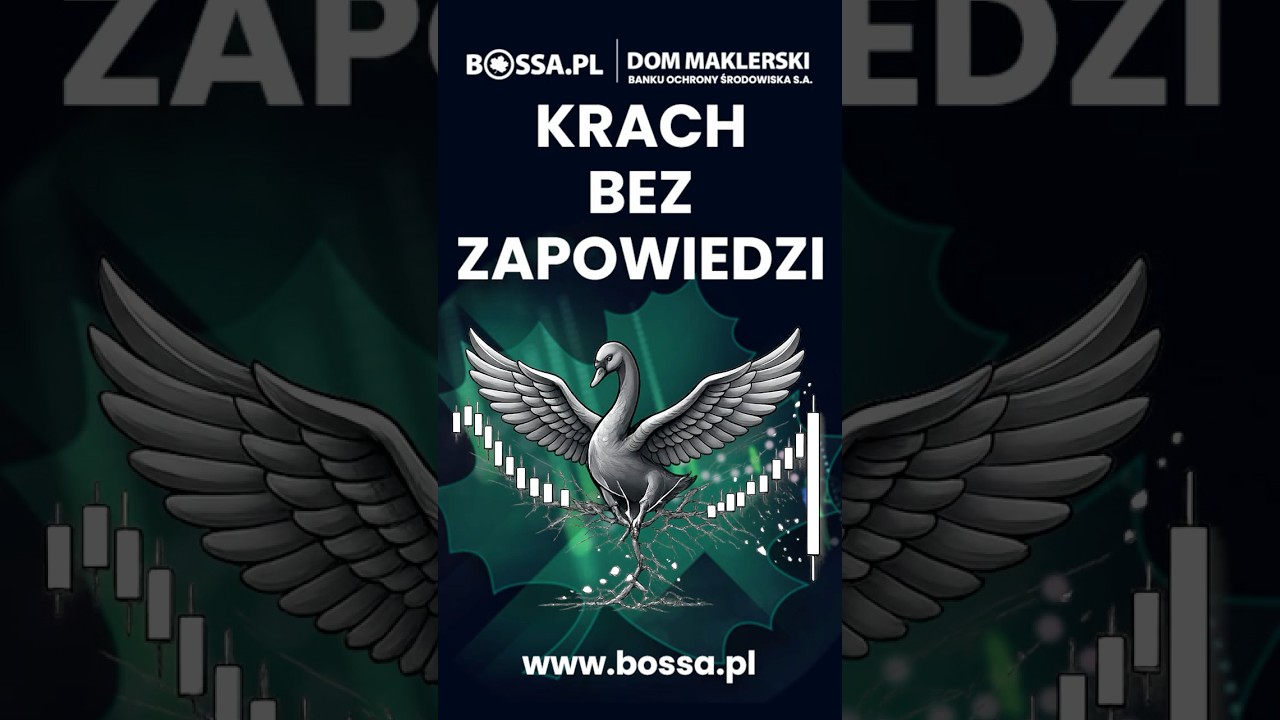 KRACH BEZ ZAPOWIEDZI. Czarny Łabędź na giełdzie.