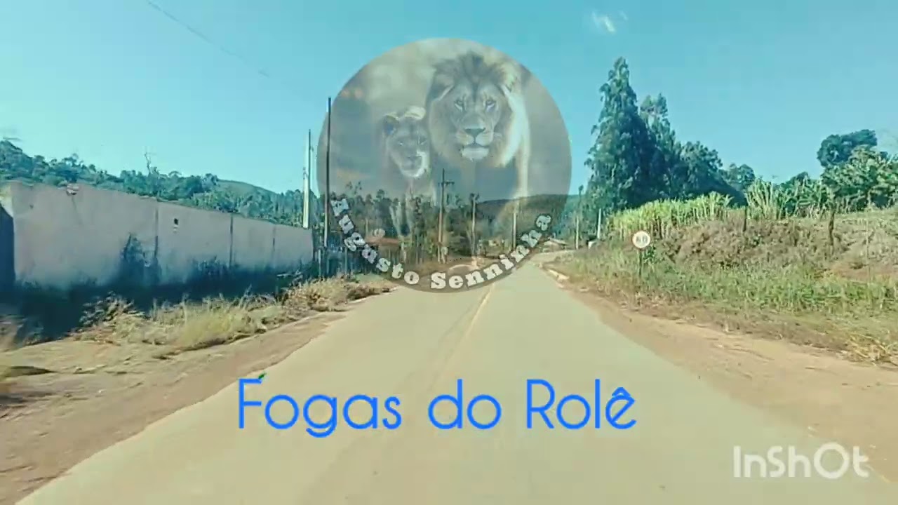 Fogas do Rollêr