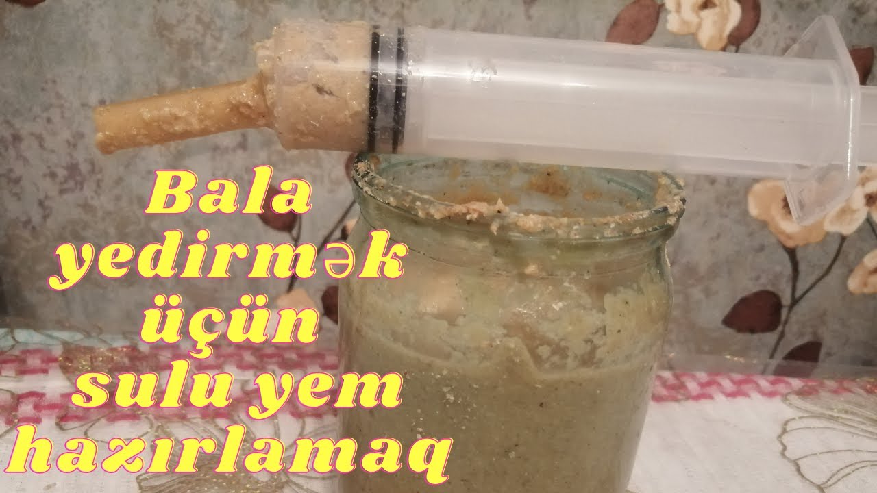 Dən yeməyən balalar üçün sulu yem hazırlamaq. Dənə öyrədənə qədər çox lazım olacaq