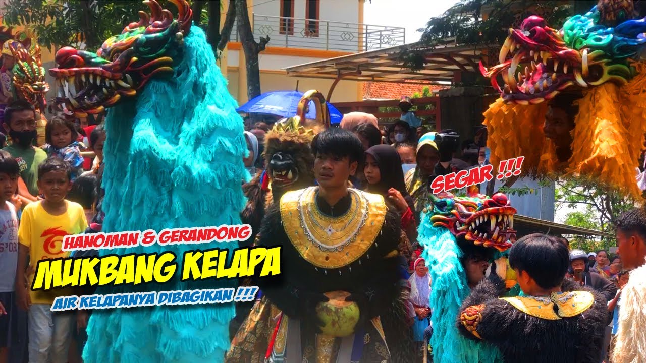 HANOMAN PATIH MUKBANG KELAPA ❗❗ KUDA LUMPING MUTIARA SURYA PUTRA 🔥 BARGOLA TV