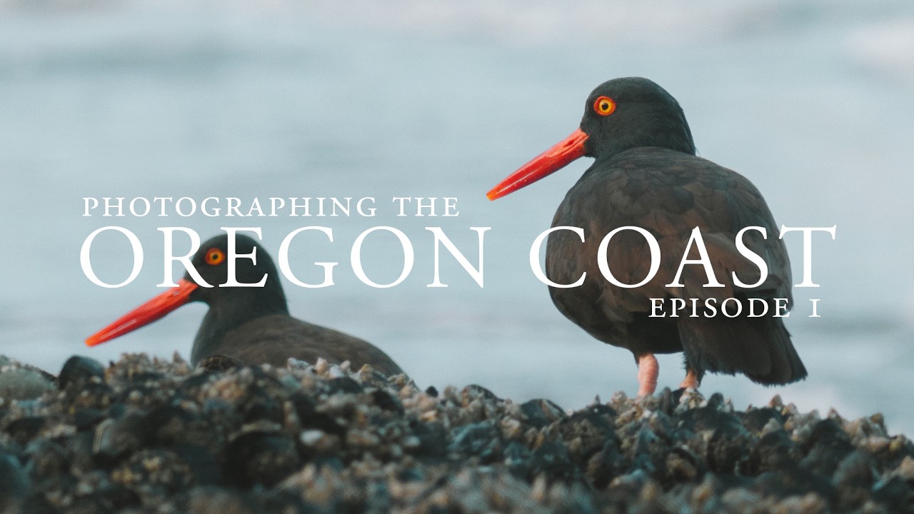 A Day of Photography on the Southern Oregon Coast // Sony a7R IV