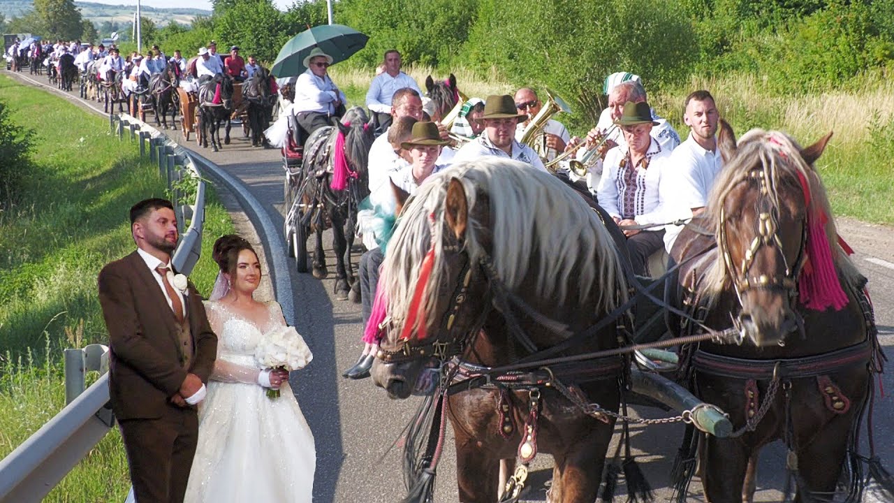 Nuntă cu Cai și Trăsuri Constantin și Beatrice Țugui acasă la mireasă Vicovu de Sus 29 Iunie 2024