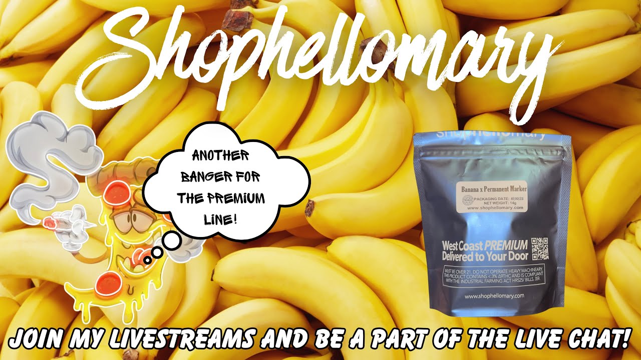 ОБЗОР SHOPHELLOMARY THCA FLOWER: Перманентный маркер Banana X (🔥🔥🔥) Используйте код (SPACECITY)