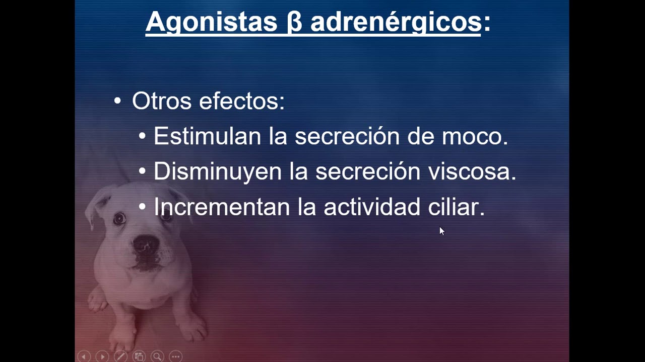 broncodilatadores  1