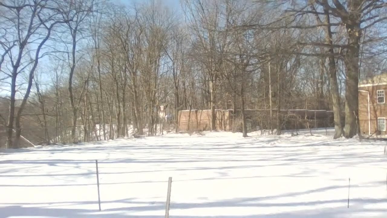Sunny Snowy Day🦌/Sunset In Cleveland w Lofi 
