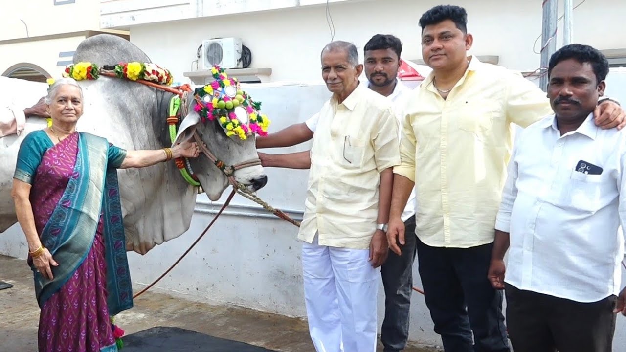MKM Bulls mistri kadar Mastan Garu 