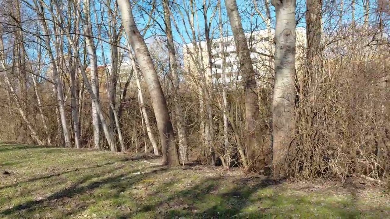 Прогулка пешком от станции Lütten Klein к Stadthalle | Север Германии