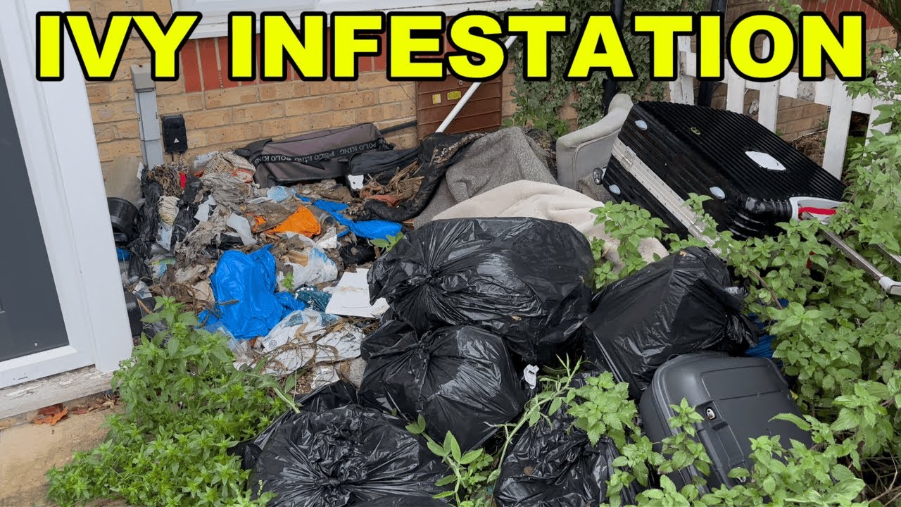 TRASHED Drug House Swallowed By Ivy Gets Cleared For Christmas!