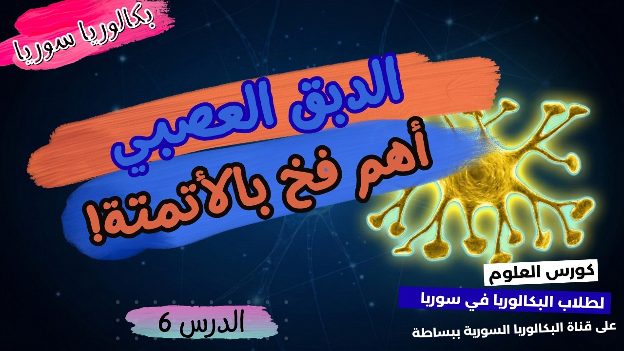 فخ الأتمتة الأول! ⚠️ أسهل طريقة لحفظ وظائف الدبق العصبي💪 علوم بكالوريا الدرس 6