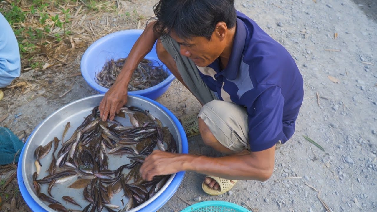 Bán cá trên đường quê 03/03/2025 | Nét Quê #586