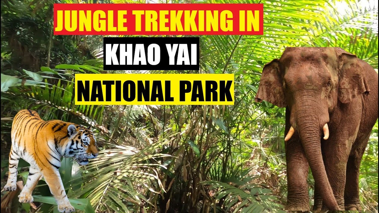 JUNGLE Trekking in Khao Yai National Park in Thailand