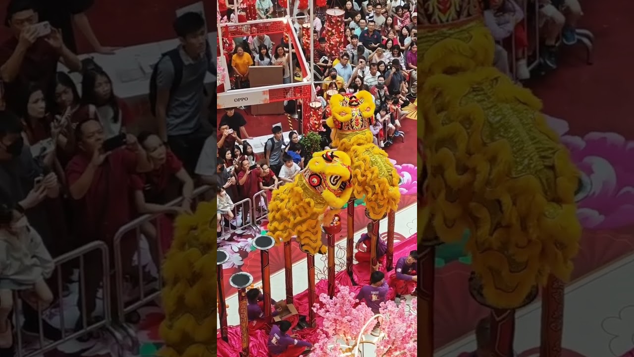 2026舞狮表演#2026liondance performance