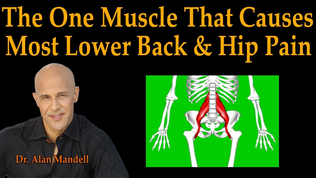 The One Muscle That Causes Most Lower Back & Hip Pain - Dr Mandell Live Stream