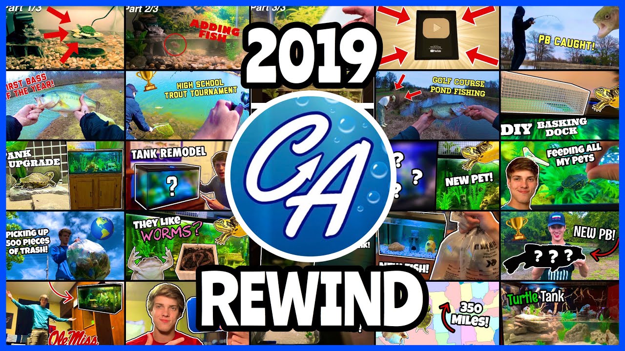 Carson&rsquo;s Aquatics Rewind 2019