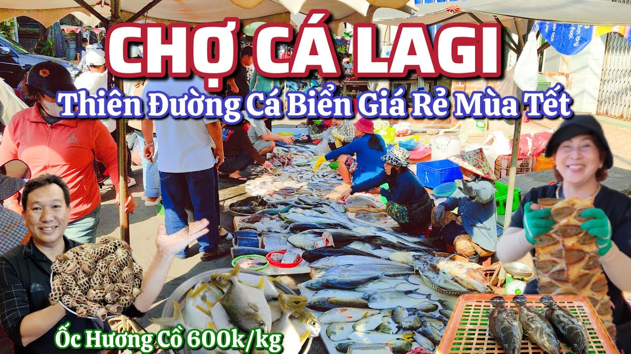 Chợ Cá LaGi Bình Thuận - Thiên Đường Cá Biển Giá Rẻ Mùa Tết