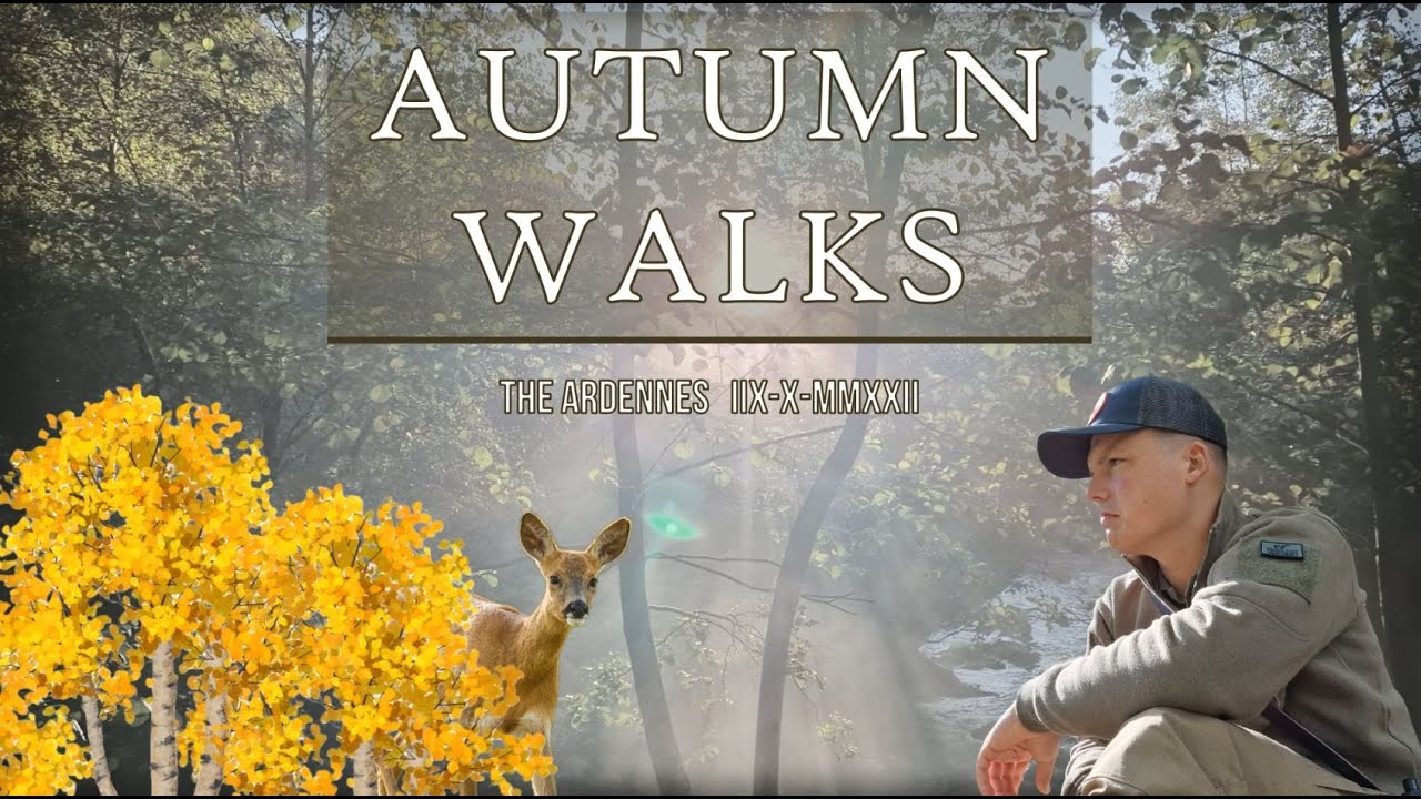 Autumn Walks II : The Golden Ardennes │ DerWasserMann - [HD][ASMR]