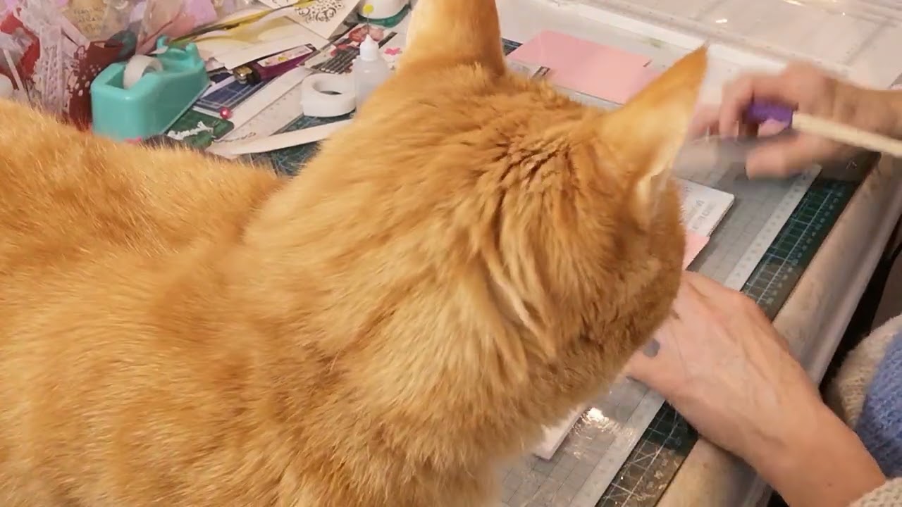 Tuto Carte Treillis SIMPLE pour DÉBUTANT sans matériel