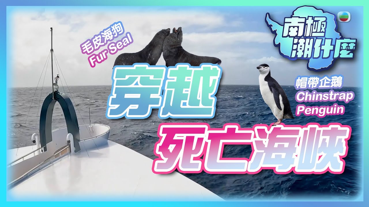 南極潮什麼 ｜穿越死亡海峽｜梁芷珮｜旅行｜郵輪｜海狗｜企鵝｜TVB綜藝｜TVB_Variety
