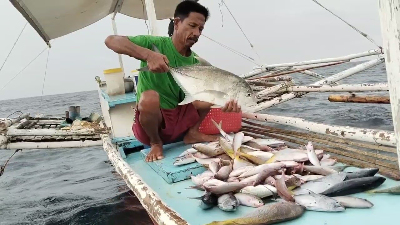 Pati malaking isda naki-kain sa artificial na pamain | idol CHARLIE