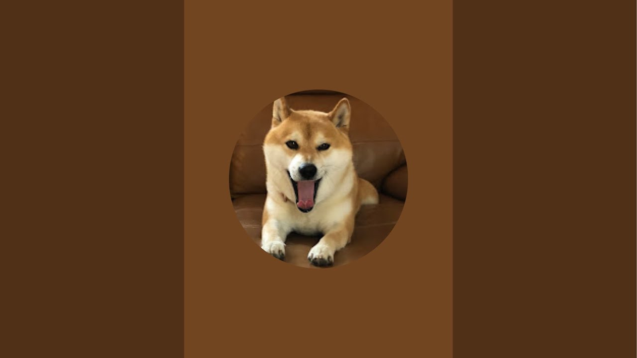 ほのぼのお昼の散歩🏝️ ママの喋りが方言丸出し☺️