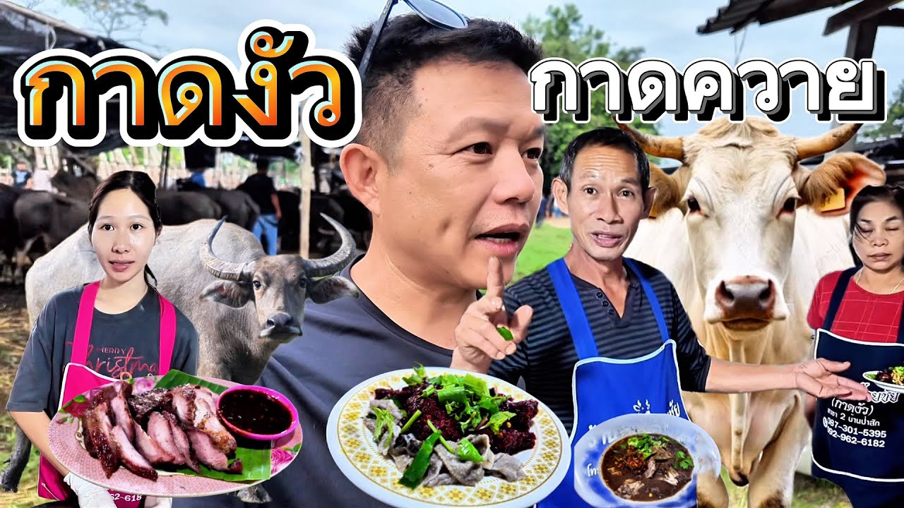 กาดงัว กาดควาย ชิมลาบอ้ายชัย ลาบควาย ยำฮก แป้งนมย่าง ตลาดทุ่งฟ้าบด