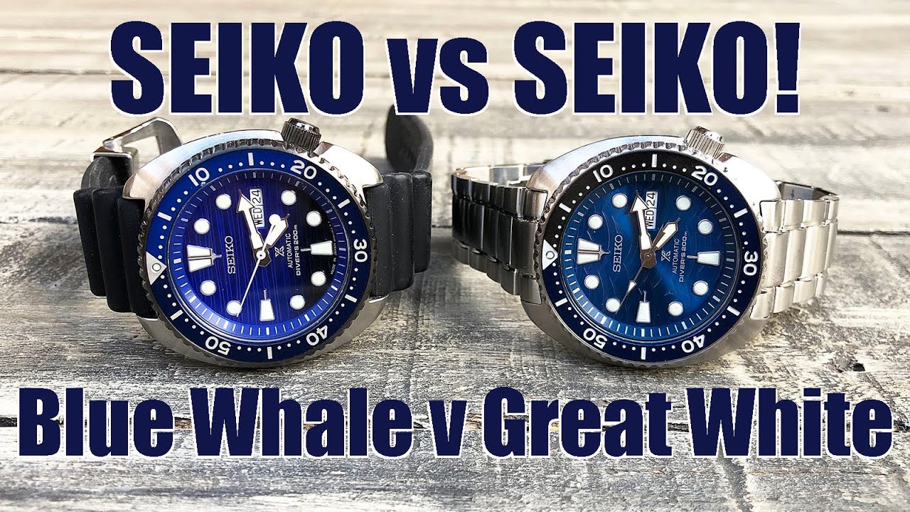 Blue Whale vs Great White! Seiko “Save the Ocean” Turtle Comparison - Perth WAtch 